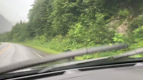Bear Races Across Road in Front of Car