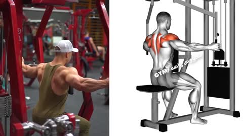 8 Exercises that make the shoulder grow fast - best Gym