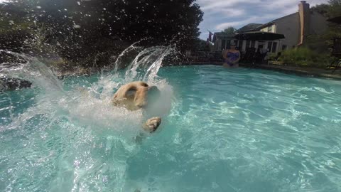 Lily speed swimming