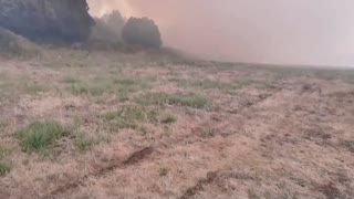 Wildfires sweep across Sardinia