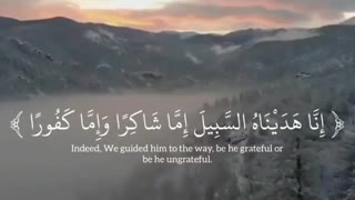 Quran | Al-insan aya 3