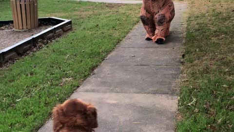 Hunter meets a dinosaur