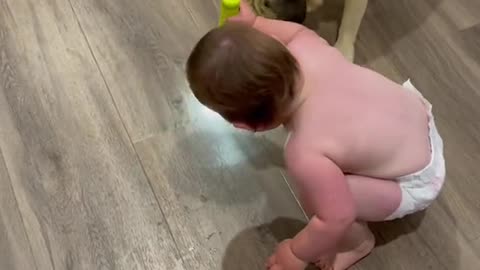 Adorable Baby and Dog Chase Light Beam: Pure Joy Unleashed!