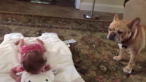 Dogs And Babies Are Best Friends Ep2