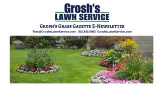 Grosh's Grass Gazette June 2021 Video E Newsletter