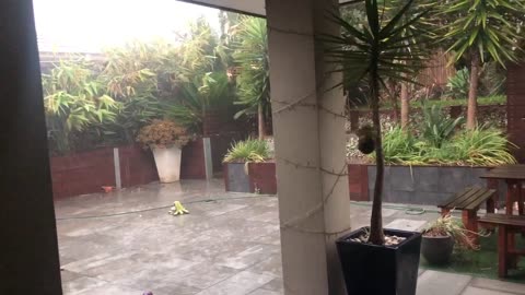 Intense flash storm pounds home in Australia