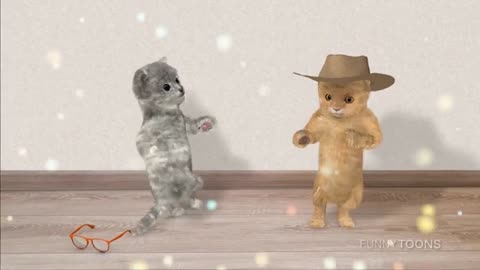 Two dancing cats