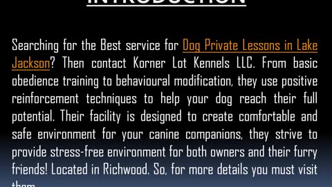 Best service for Dog Private Lessons in Lake Jackson