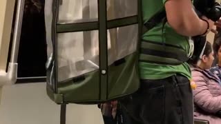 Man subway parrot in cage backpack green shirt