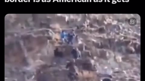 A Bald Eagle Attacking Illegal Immigrants At the Southern Border is 100% American