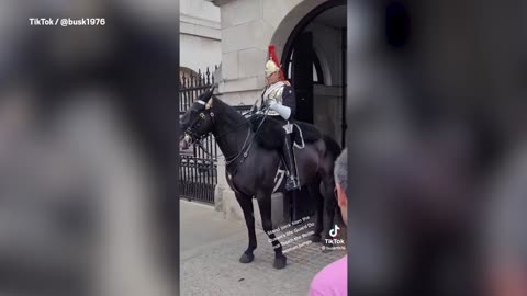 Queen's Guard Screams At Tourist For Touching Horse Reins