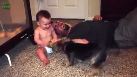 Bebês Rindo Histericamente Em Cães.