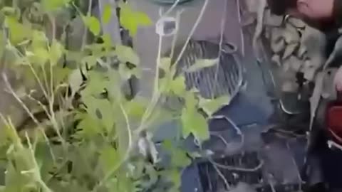 Inspection of the trophy by Russian fighters