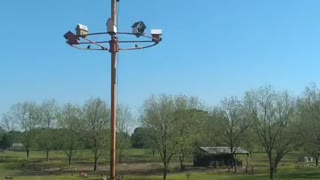 Purple Martin High Rise Condo