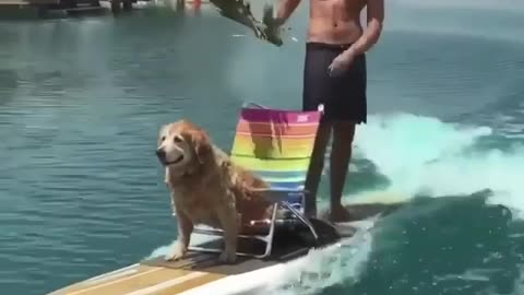 When you feel you are like a king even in surfing