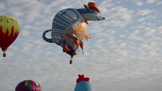 It's an armadillo hot air balloon!