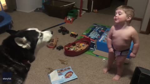 Dog and baby funny video Very nice funny video