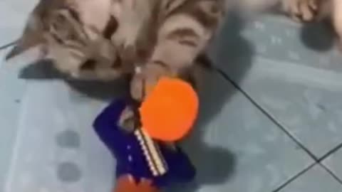 😆🤣Dogs and Cats get prank from toys