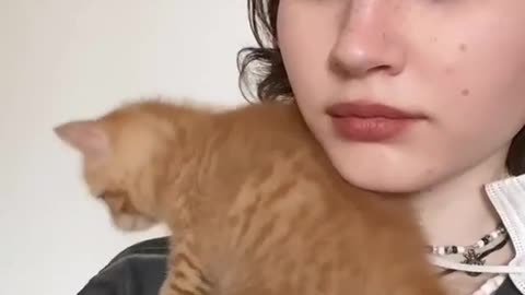 This cute kitten loves camera