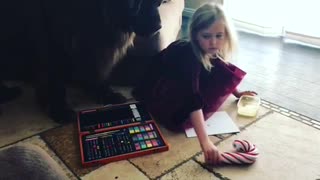 Huge Newfoundland makes it hard for little girl to enjoy gift