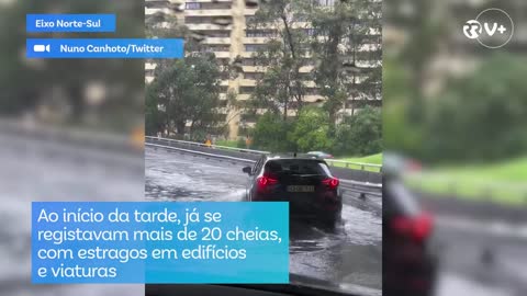 Tornado, árvores caídas e inundações. Temporal faz estragos em Lisboa