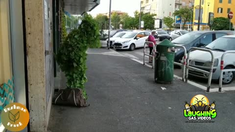 Man dressed as a bush prank. Scare compilation 2021🤣!