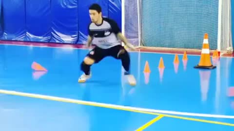 Amazing goalkeeper skills