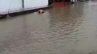 Un fuerte aguacero generó temor en El Playón, Santander