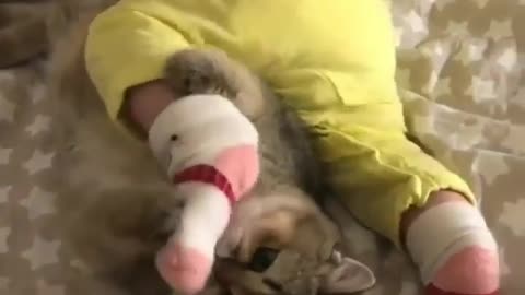 Kitty adorably plays with little baby's feet