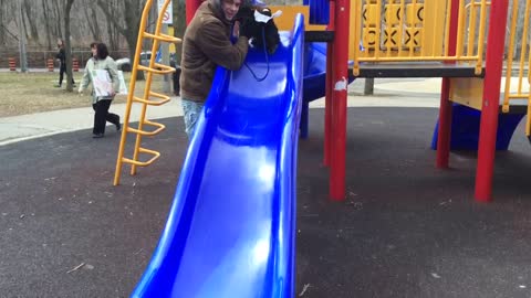 Puppy goes down a slide for the first time