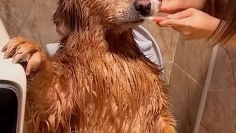 Good baby in the bath