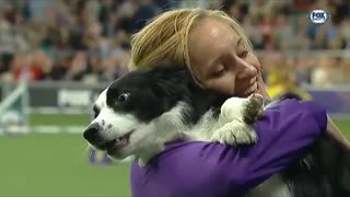 Pink the border collie wins