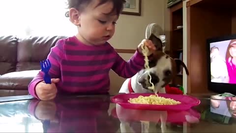 funny and laughing moment of baby and dog