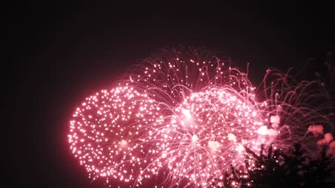 Fireworks displayed at night