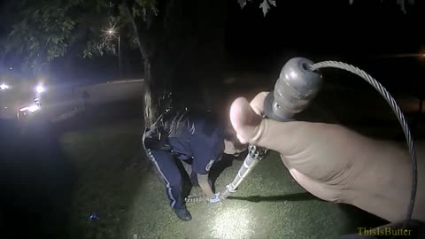 Bodycam video shows Kalamazoo police capture an alligator