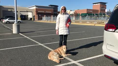 9 month old golden retriever Ruby Lou