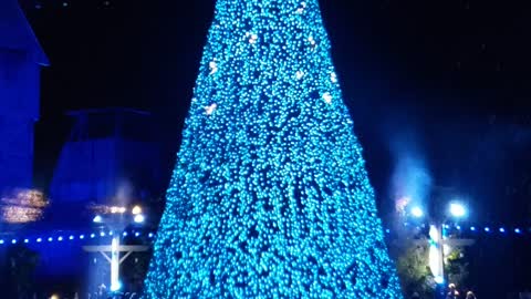 Wonderful Christmas - Tree Light Show at Dollywood (2021)