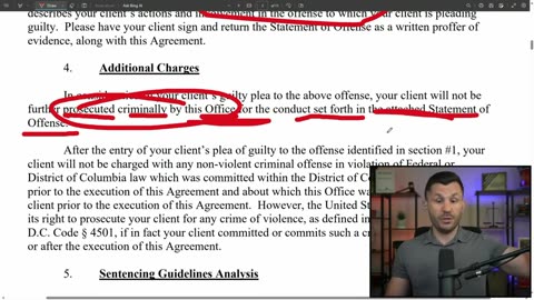 Robert Gouveia Esq. - Ray Epps' NO JAIL Plea Docs Reveal Charging Mismatch