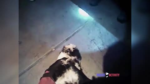 Bodycam Footage Shows Albuquerque Police Saving Choking Puppy