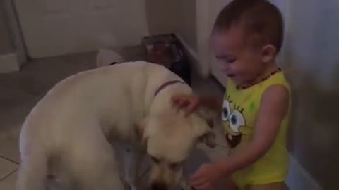 Baby plays with his dog