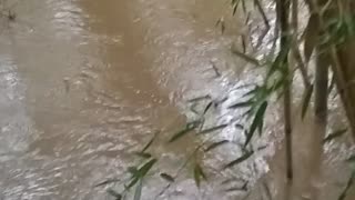 Flood Water