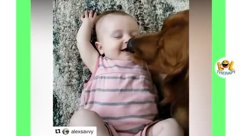 Cute baby funny videos/ babies playing with pets
