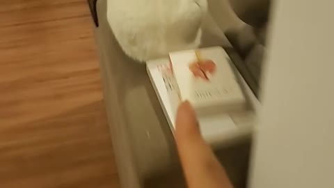 Deaf cat loves meowing