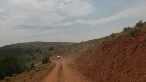 Hauling Cows Up The Mountain 6