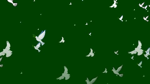 White doves animation on green background