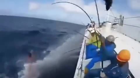 Incredible fishing