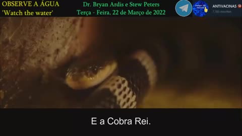 Covid19 - Watch the water - Can covid 19 come from Cobra?