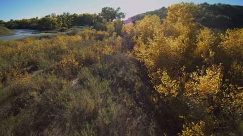 Fall Colors a Drone View