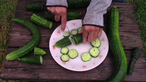 Slicing Some Japanese Long, Marketmore 76, and China Jade Cucumbers