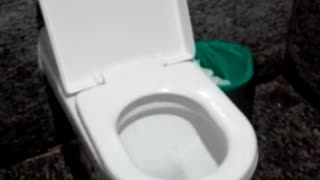 Toilets flush like a shower
